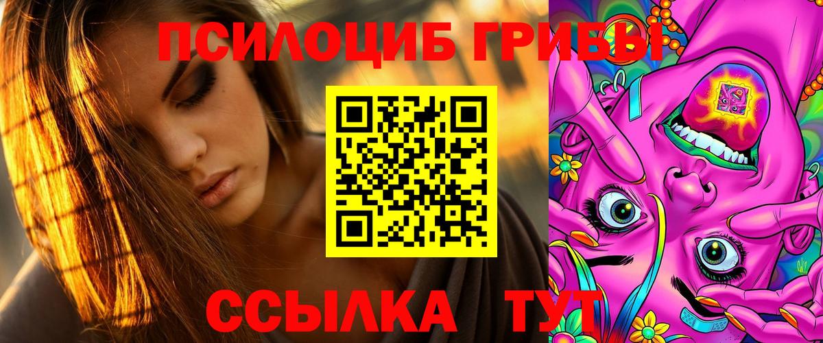 Галлюциногенные грибы ЛСД  купить наркоту  Ноябрьск  Галлюциногенные грибы Cubensis  Вход с VPN 